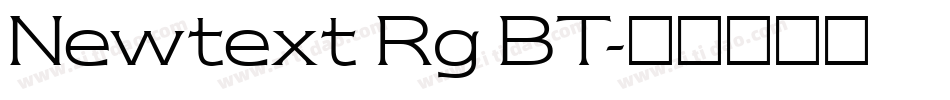 Newtext Rg BT字体转换